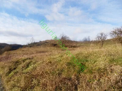Rustico/Casale in vendita a Mioglia - foto 5