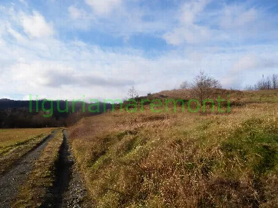 Rustico/Casale in vendita a Mioglia - foto 6