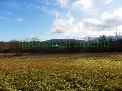 Rustico/Casale in vendita a Mioglia - foto 7