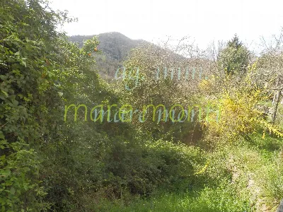 Villa in vendita a Savona, Lavagnola, Sant... - foto 9