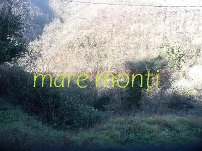 Rustico/Casale in vendita a Albisola Super... - foto 5