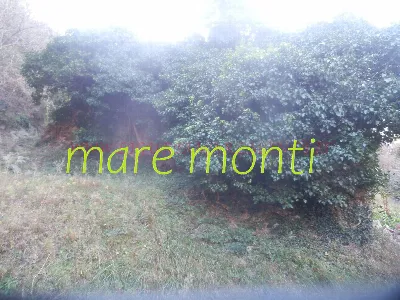 Rustico/Casale in vendita a Albisola Super... - foto 9