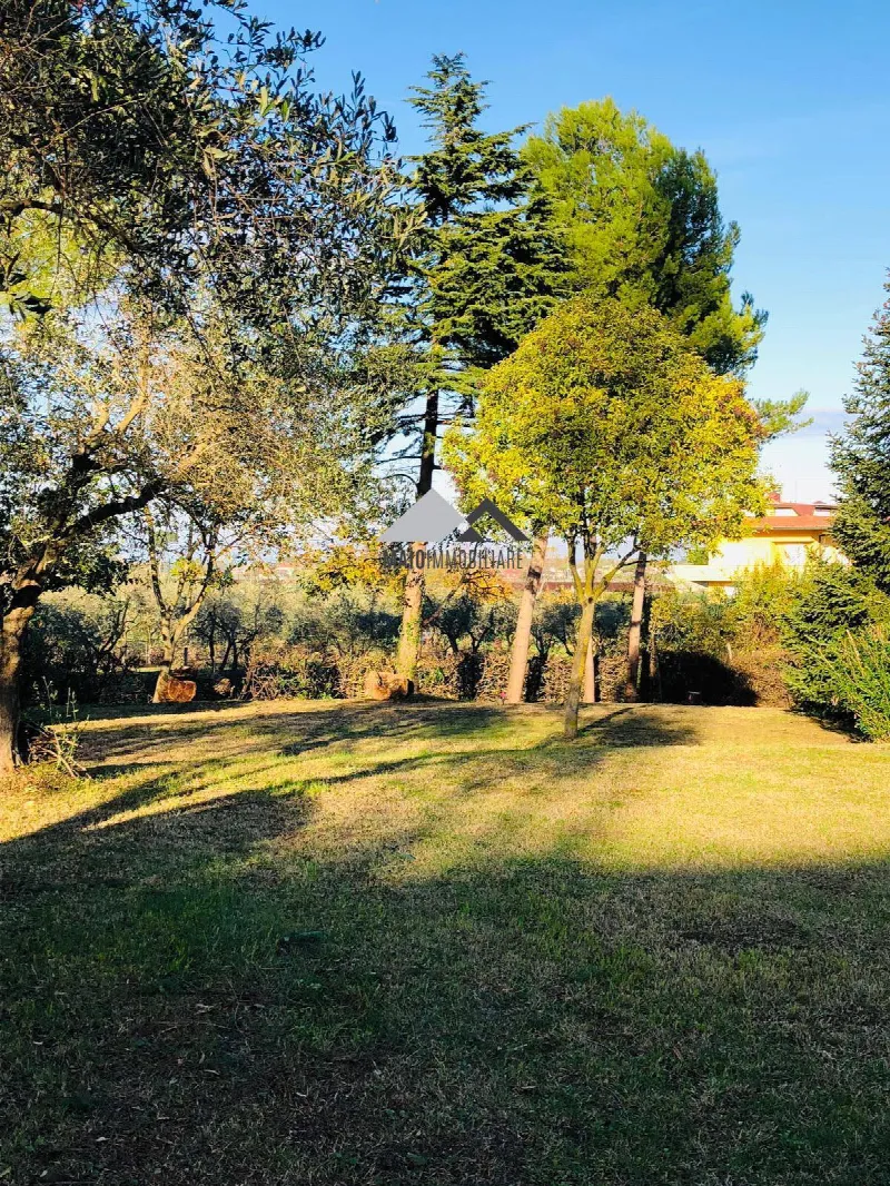 Villa in vendita a Misano Adriatico - foto 1