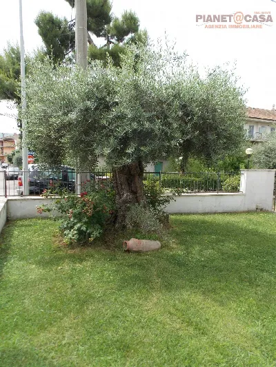 Villa in vendita a Spinetoli - foto 6