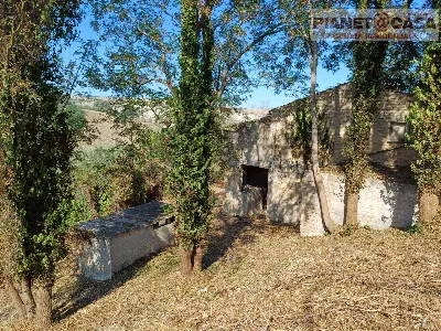 Rustico/Casale in vendita ad Appignano del... - foto 5
