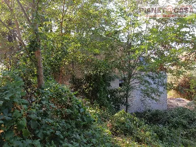 Rustico/Casale in vendita ad Appignano del... - foto 9
