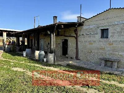 Villa in vendita a Minervino Murge - foto 1
