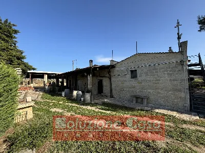Villa in vendita a Minervino Murge - foto 2