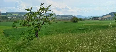Casa Indipendente in vendita a Falerone - foto 6