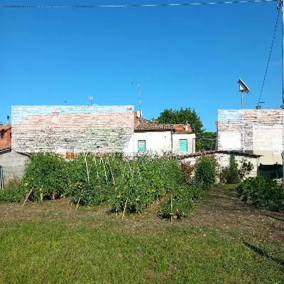 Casa Indipendente in vendita a Falerone - foto 6