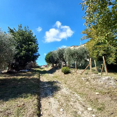 Casa Indipendente in vendita a Falerone - foto 7
