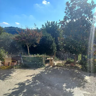 Casa Indipendente in vendita a Falerone - foto 9