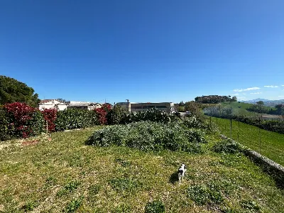 Casa Indipendente in vendita a Magliano di... - foto 4
