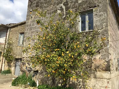 Rustico/Casale in vendita a Telese Terme - foto 1