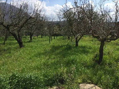 Rustico/Casale in vendita a Telese Terme - foto 4