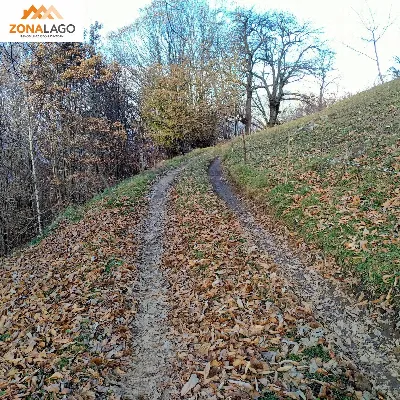 Casa Indipendente in vendita a Pisogne - foto 2