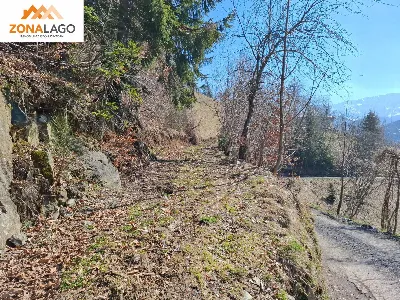 Rustico/Casale in vendita a Pisogne - foto 5