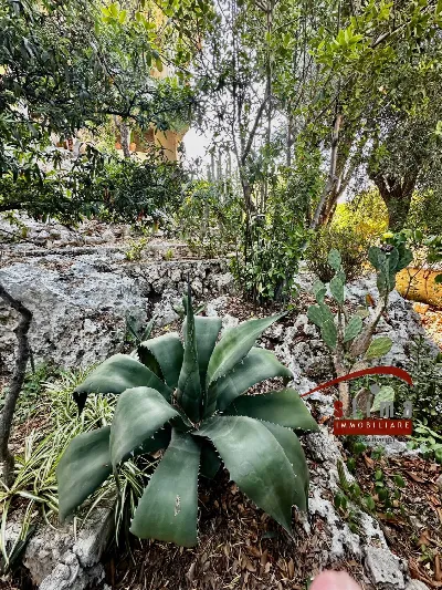 Villa in vendita a Siracusa, Belvedere, Tr... - foto 6
