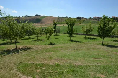 Rustico/Casale in vendita a Offida - foto 7