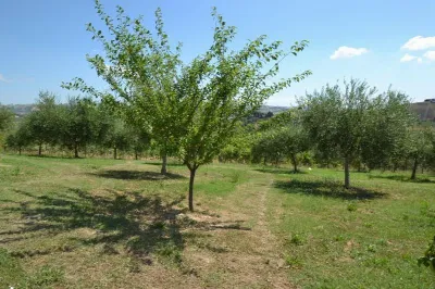 Rustico/Casale in vendita a Offida - foto 8