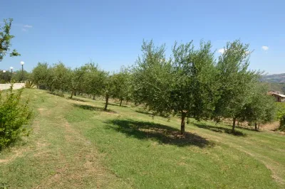 Rustico/Casale in vendita a Offida - foto 9
