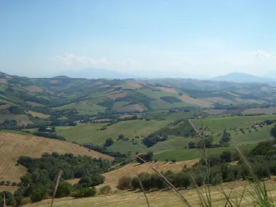 Rustico/Casale in vendita a Montefiore del... - foto 2