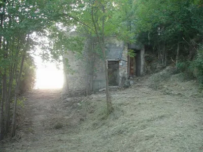 Rustico/Casale in vendita a Montefiore del... - foto 4