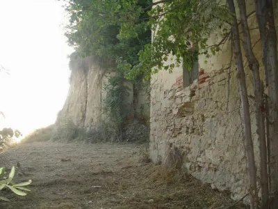 Rustico/Casale in vendita a Montefiore del... - foto 5