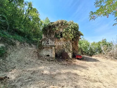 Rustico/Casale in vendita a Montefiore del... - foto 10