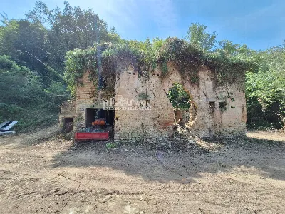 Rustico/Casale in vendita a Montefiore del... - foto 2