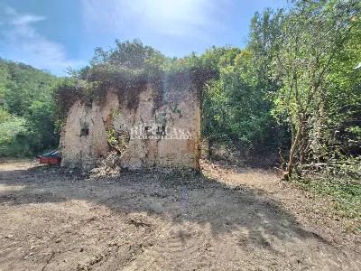 Rustico/Casale in vendita a Montefiore del... - foto 3