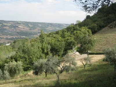 Rustico/Casale in vendita a Montefiore del... - foto 4