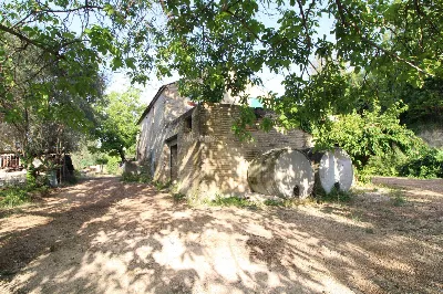 Rustico/Casale in vendita a Montefiore del... - foto 10