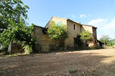 Rustico/Casale in vendita a Montefiore del... - foto 2