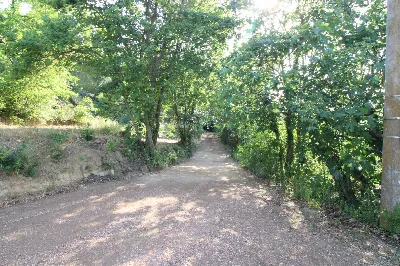 Rustico/Casale in vendita a Montefiore del... - foto 7