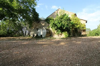 Rustico/Casale in vendita a Montefiore del... - foto 9