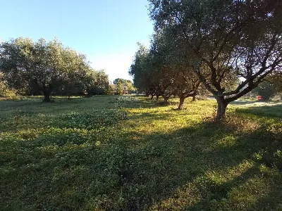 Rustico/Casale in vendita a Martinsicuro - foto 10