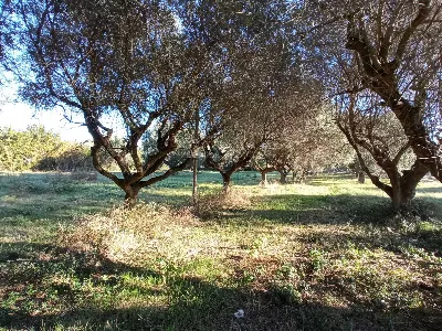 Rustico/Casale in vendita a Martinsicuro - foto 5