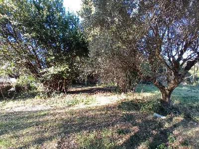 Rustico/Casale in vendita a Martinsicuro - foto 6