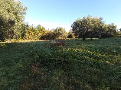 Rustico/Casale in vendita a Martinsicuro - foto 9