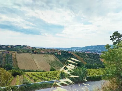 Rustico/Casale in vendita a Monteprandone - foto 10