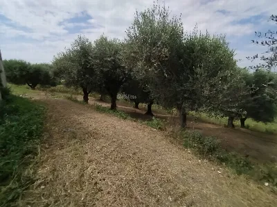 Rustico/Casale in vendita a Monteprandone - foto 4