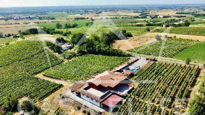 Villa in vendita a Retorbido - foto 10