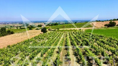 Villa in vendita a Retorbido - foto 7