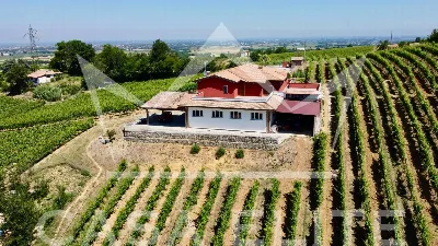 Villa in vendita a Retorbido - foto 8