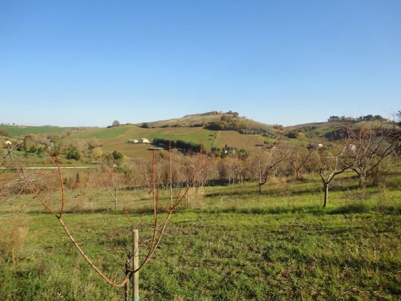 Villa in vendita a Castelplanio - foto 10