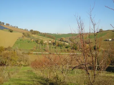 Villa in vendita a Castelplanio - foto 8