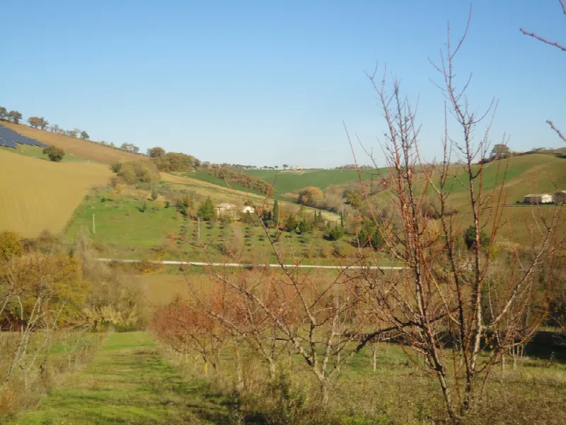 Villa in vendita a Castelplanio - foto 8