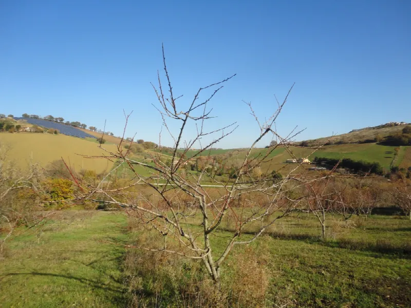 Villa in vendita a Castelplanio - foto 9