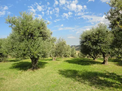 Villa in vendita a Ostra - foto 3